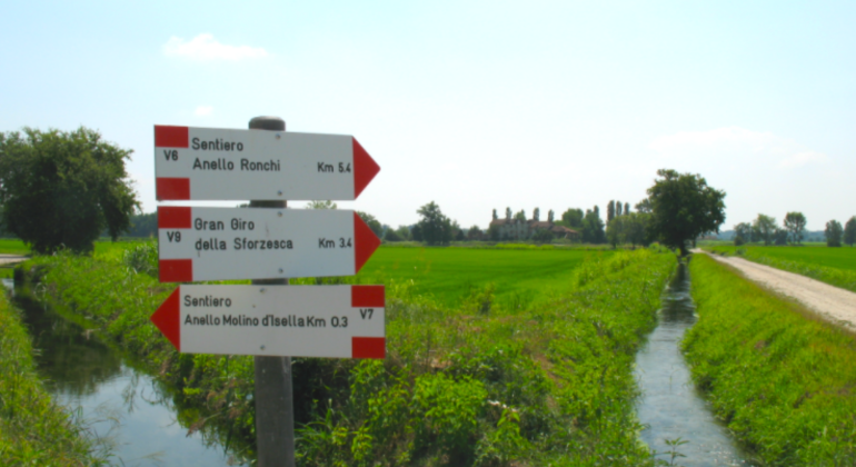 L’anello del Molino d’Isella e Belcreda: a spasso nel Parco del Ticino