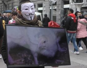 Ad Alessandria gli attivisti di Anonymous for the Voiceless contro gli allevamenti intensivi di animali