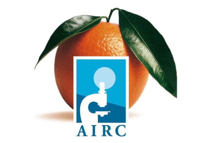 La ricerca Airc in Piemonte contro il cancro: stanziati 13 milioni per 100 progetti e 6 borse di studio