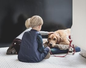 Pet Love: i consigli per far giocare insieme animali e bambini