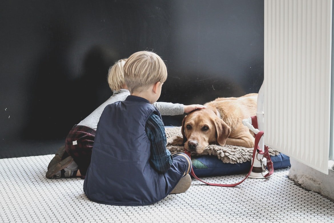 Pet Love: i consigli per far giocare insieme animali e bambini