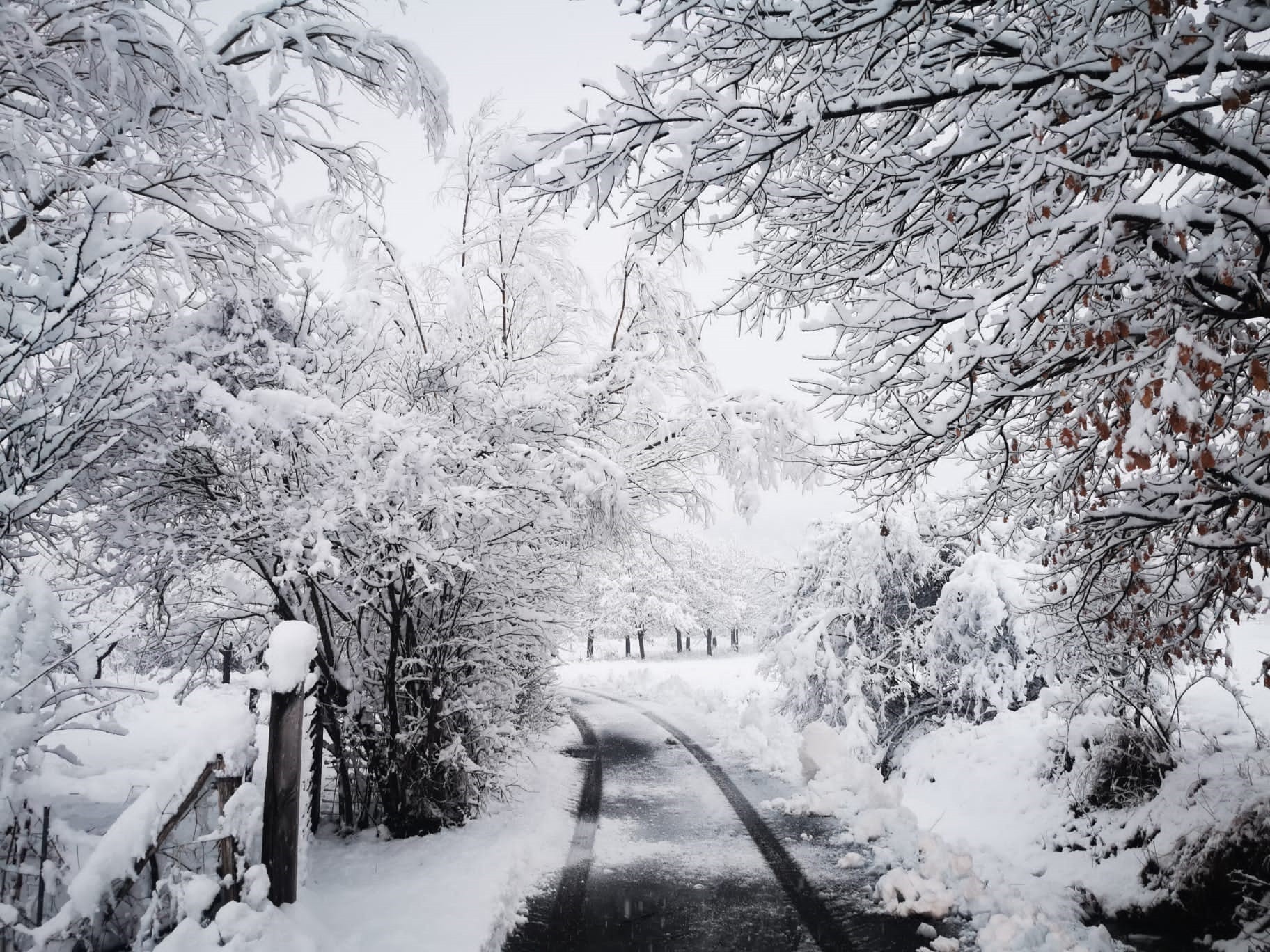 Le spettacolari foto della neve in provincia di Alessandria