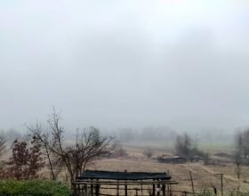Nebbia in pianura ma tornano anche il vento e la neve sulle Alpi di confine