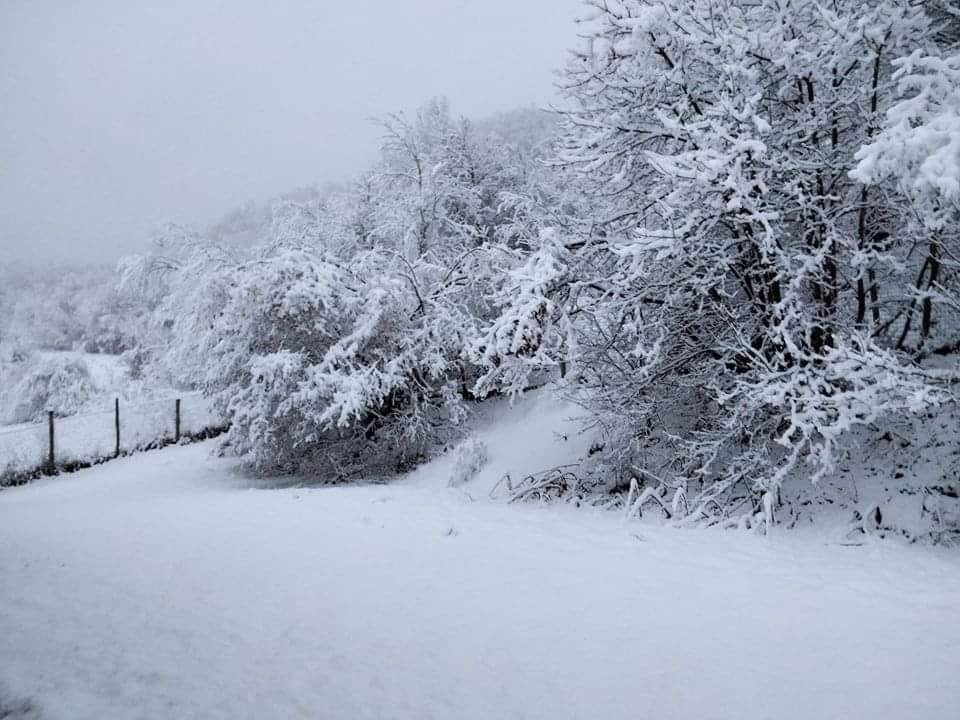 La neve imbianca anche la provincia di Alessandria