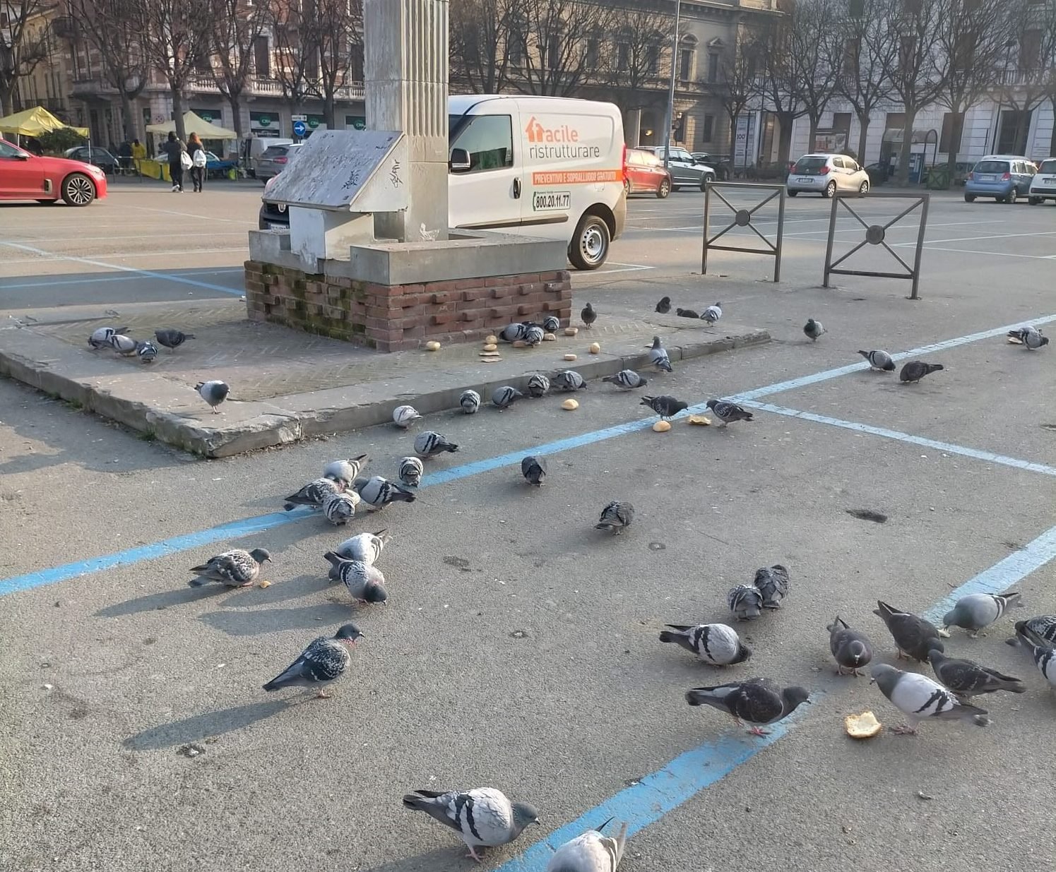 Il monumento di Rattazzi deturpato dai piccioni ma la colpa è dell’uomo