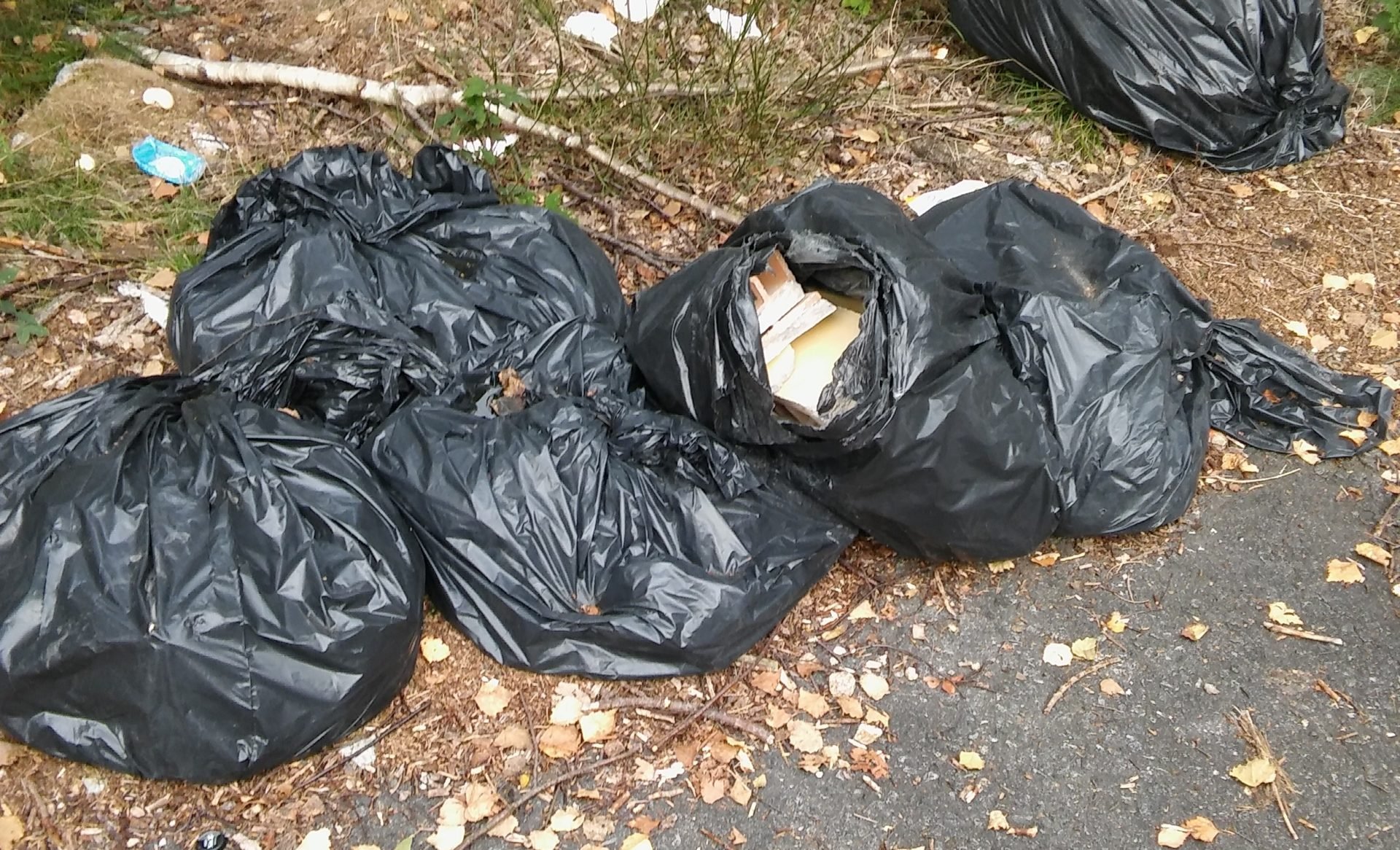 A Novi abbandona sacchi di rifiuti a bordo strada: 600 euro di multa