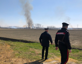 Il video dell’incendio di un canneto a Casale Monferrato