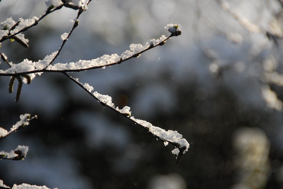 Possibili nevicate stasera nelle zone di Acqui, Novi, Ovada e Val Borbera: diramata l’allerta gialla