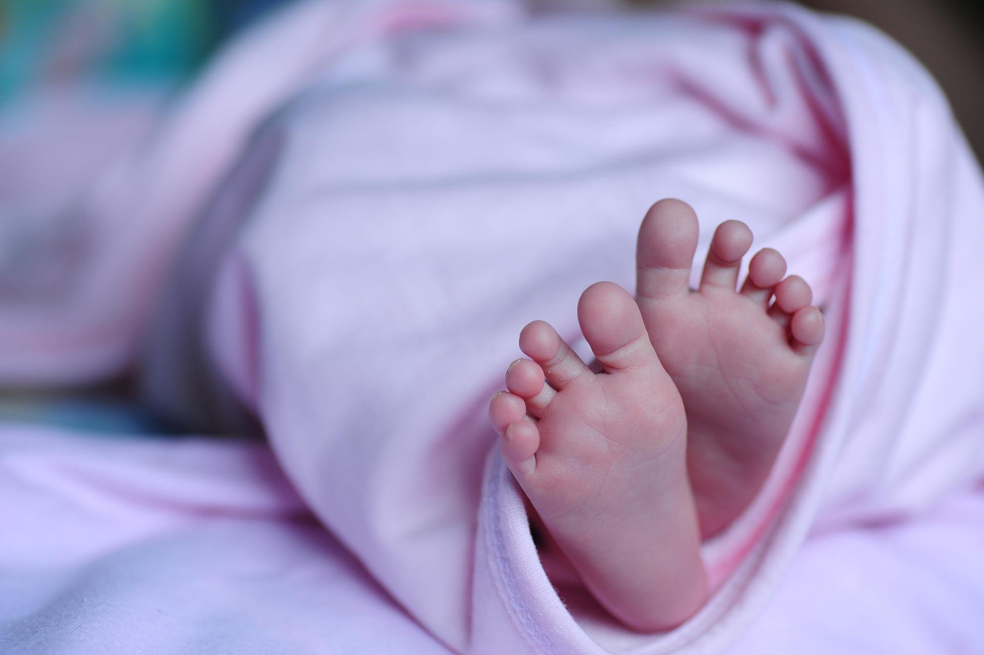 Alessandria, Terapia Intensiva Neonatale trasferita all’Ospedale Civile: “Ora i bimbi più vicini ai genitori”