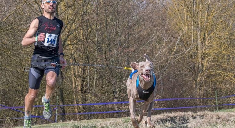Un cittadino di Bassignana al campionato del mondo di canicross