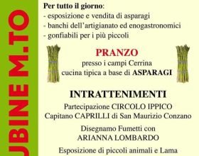 Domenica 1° Maggio fiera dell’Asparago a Fubine Monferrato