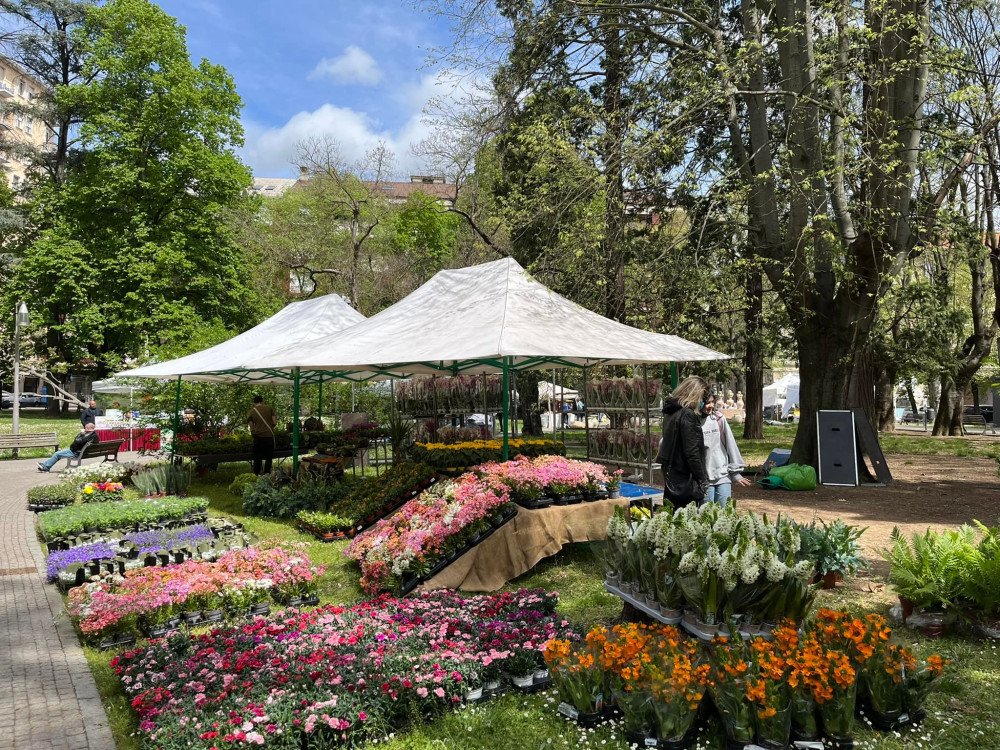 FloreAle: 30 mila presenze nelle 4 giornate di eventi legati alla mostra mercato dei fiori
