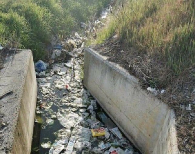 Domenica nuova iniziativa di “Salviamo il nostro verde” a Valenza: pulire il canale in strada Pontecurone