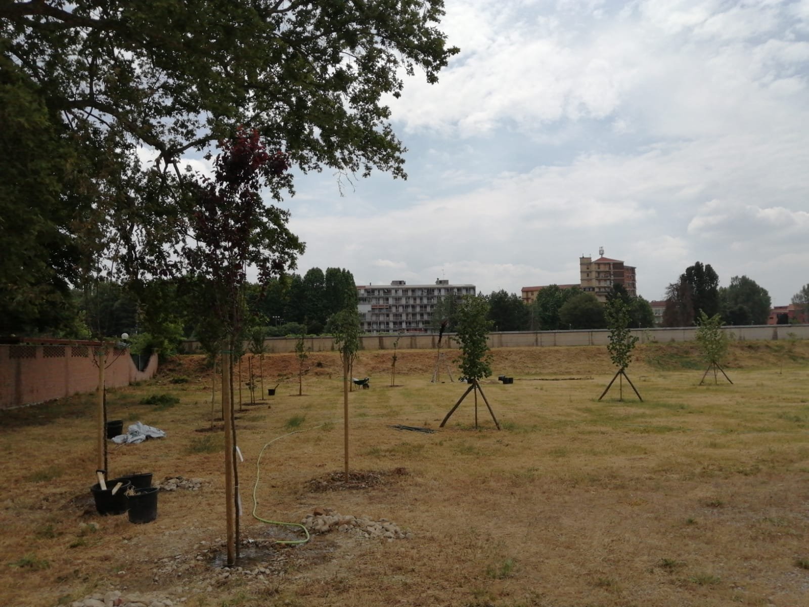 Ad Alessandria il Bosco del Sole: altri 28 alberi piantati e via alla raccolta fondi per gli attrezzi ginnici