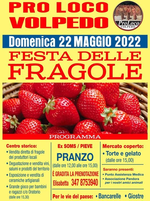 Domenica 22 maggio la Festa delle fragole a Volpedo