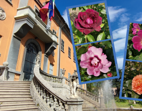 Visite guidate e iniziative per la Festa del Roseto all’Orto Botanico di Pavia