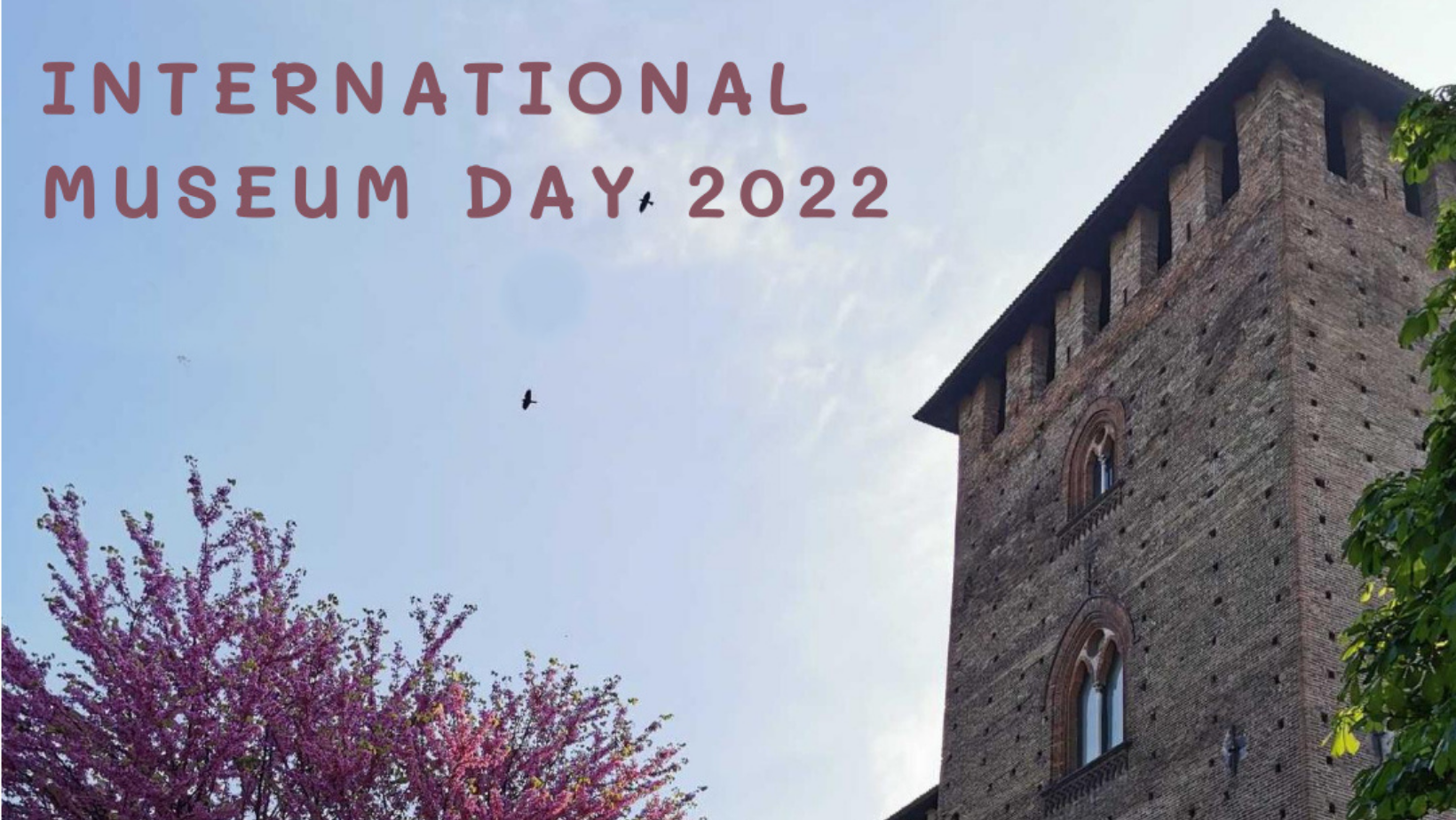 international museum day pavia 2022