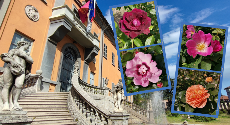 Visite guidate e iniziative per la Festa del Roseto all’Orto Botanico di Pavia