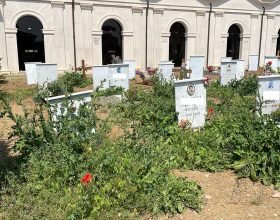 “Nei cimiteri erba alta finalmente tagliata”: Comune di Alessandria critica il nuovo gestore “in grave ritardo”