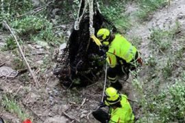 Bovino scivola in un dirupo a Vignole: salvato dai Vigili del Fuoco