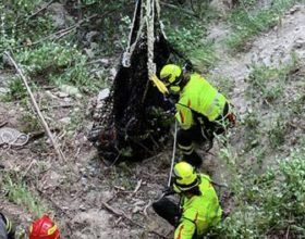Bovino scivola in un dirupo a Vignole: salvato dai Vigili del Fuoco