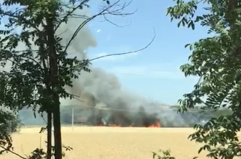 Incendio nei pressi dell’autostrada A21: rogo spento