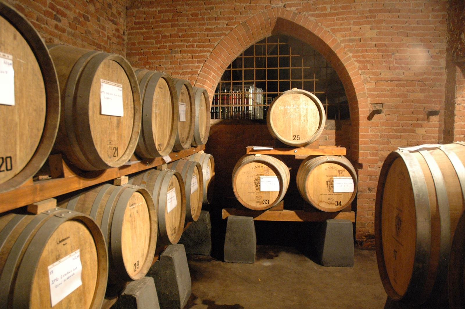 Domenica 12 giugno vino e cultura saranno i protagonisti al Castello di Gabiano