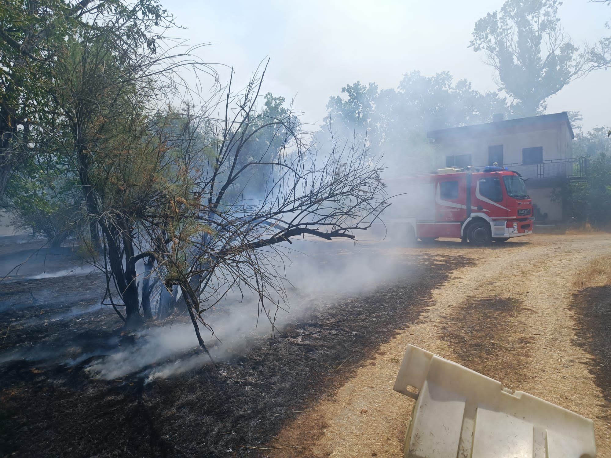 A fuoco due ettari di sterpaglie e bosco a Isola S. Antonio [FOTO]