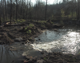 Sulle rive del Lambro per scoprire le erbe di San Giuàn