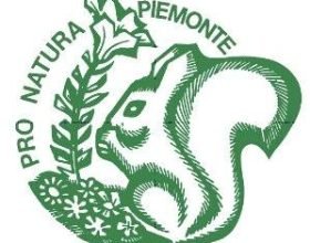 Il 21 giugno incontro a Novi sul nuovo termovalorizzatore promosso da Pro Natura e Italia Nostra