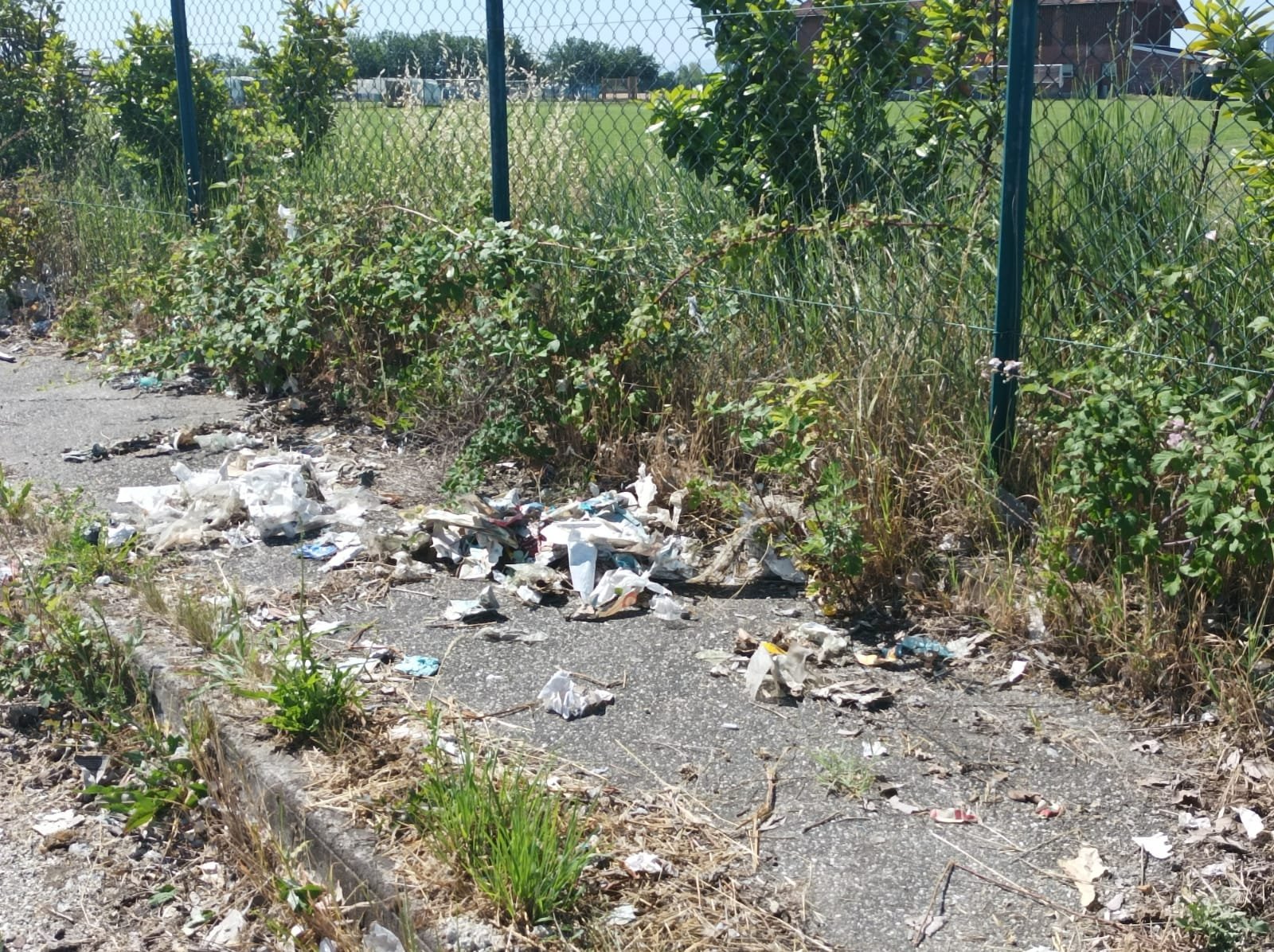 Nuova raccolta rifiuti dei volontari di Plastic Free a Spinetta Marengo, in zona D5