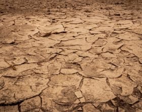Emergenza siccità: in Piemonte 7,6 milioni di euro di aiuti
