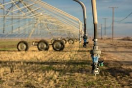 Agricoltura: in Piemonte danni per siccità già a quota 1 miliardo e 150 milioni