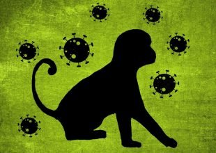 Vaiolo scimmie: in Italia 662 casi confermati, +18 in 4 giorni