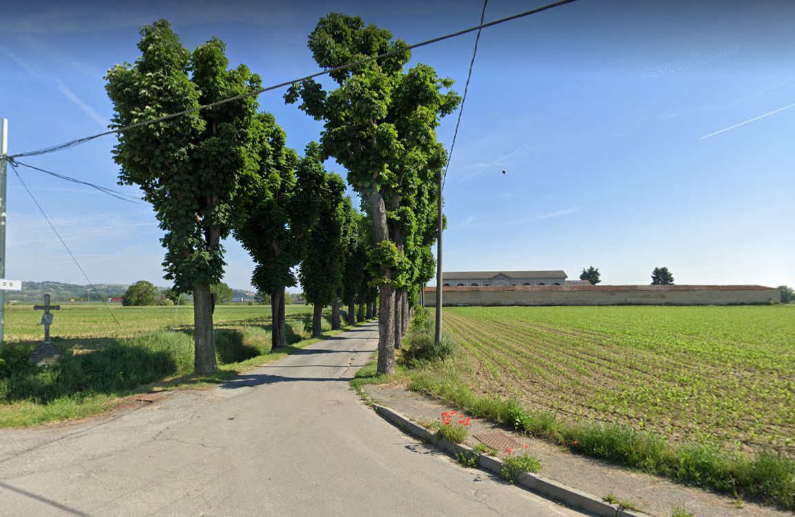 Maltempo: ippocastano cade nel viale del cimitero di Castelceriolo. Strada bloccata
