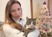 Dopo due anni ritrova l’amata gattina scomparsa: la storia di Kasia e Mia