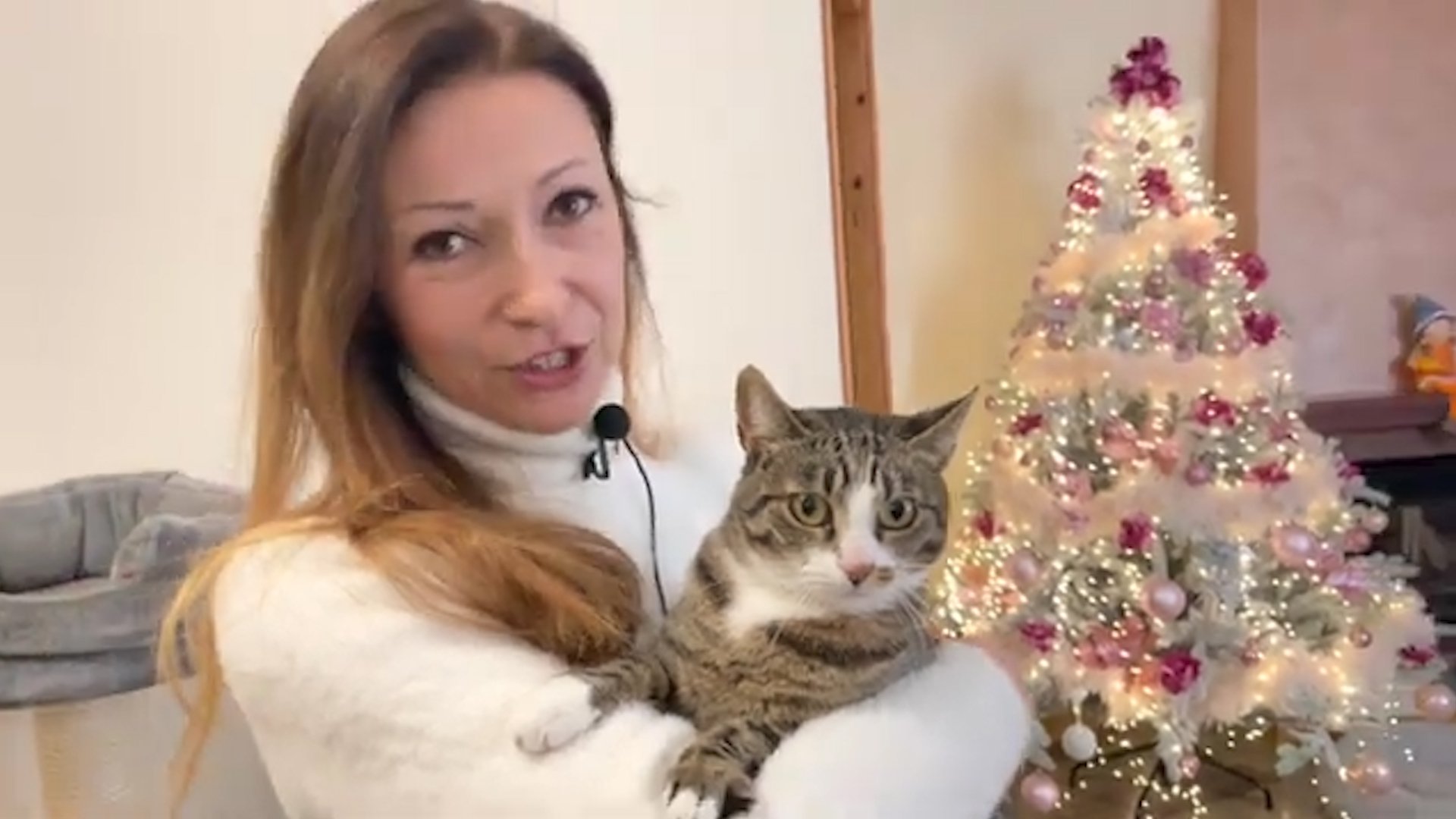 Dopo due anni ritrova l’amata gattina scomparsa: la storia di Kasia e Mia