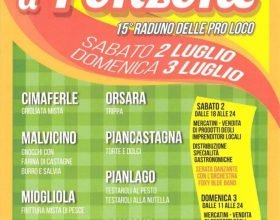 Sabato 2 e domenica 3 luglio Weekend a Ponzone: raduno delle pro loco