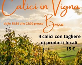 Venerdì 12 agosto a Bosio buon vino e salumi con “Calici in Vigna”