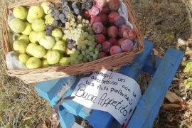 A Pietra Marazzi un cestino pieno di frutta per chi passa, senza chiedere nulla in cambio