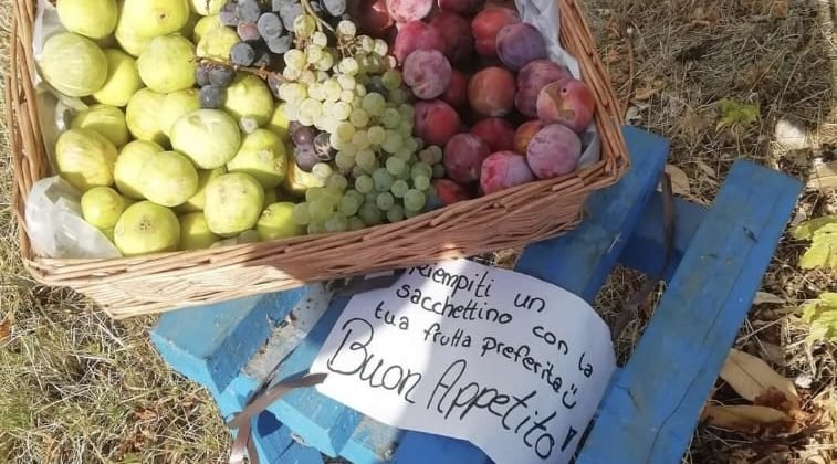A Pietra Marazzi un cestino pieno di frutta per chi passa, senza chiedere nulla in cambio