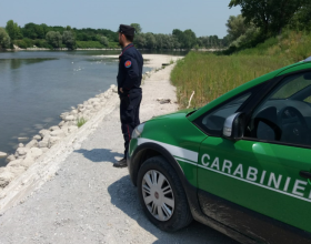 Attingeva abusivamente acqua dallo Scrivia per irrigare i campi: scoperto dai carabinieri
