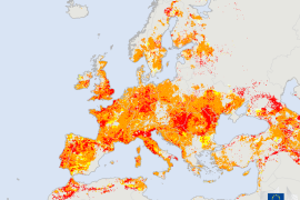 La siccità ha stretto in una morsa il Piemonte e l’Alessandrino: l’allarme dell’osservatorio europeo
