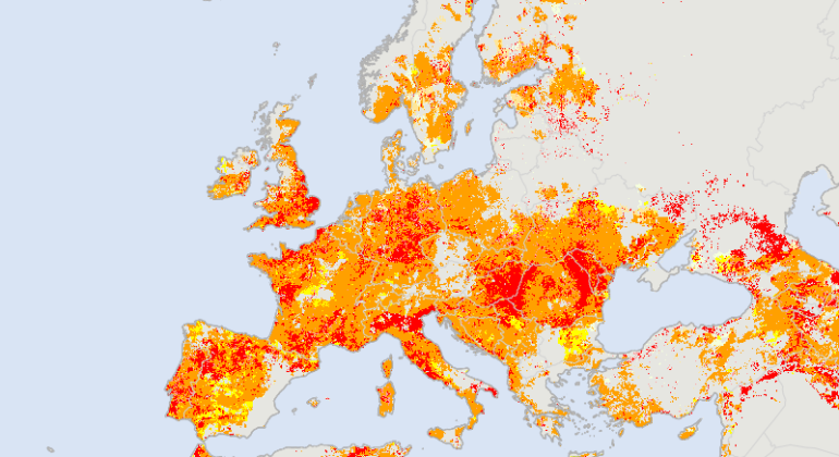 La siccità ha stretto in una morsa il Piemonte e l’Alessandrino: l’allarme dell’osservatorio europeo