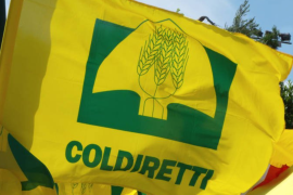 Coldiretti, il Piemonte sul podio in termini di volumi d’affari con 301 milioni di vendite