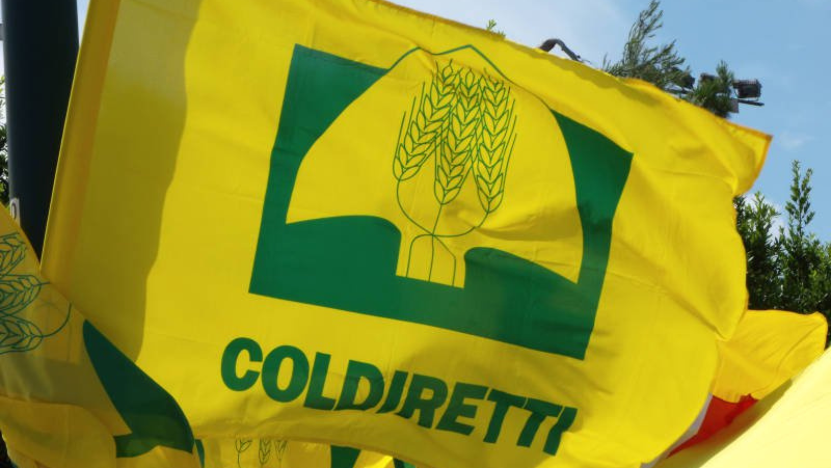 Coldiretti, il Piemonte sul podio in termini di volumi d’affari con 301 milioni di vendite