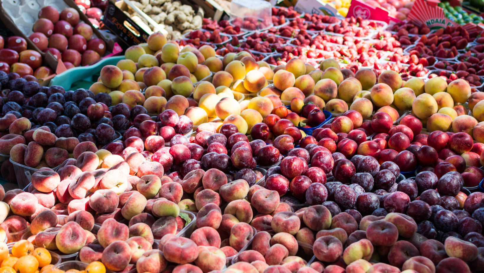 Sostenibilità, è la frutta l’alimento più sprecato del pianeta