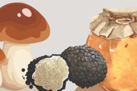 Il 2 ottobre a Zavattarello la sagra del fungo, miele e tartufo