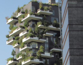 Forum Ambiente, gli eventi a Milano per renderla “capitale del verde”