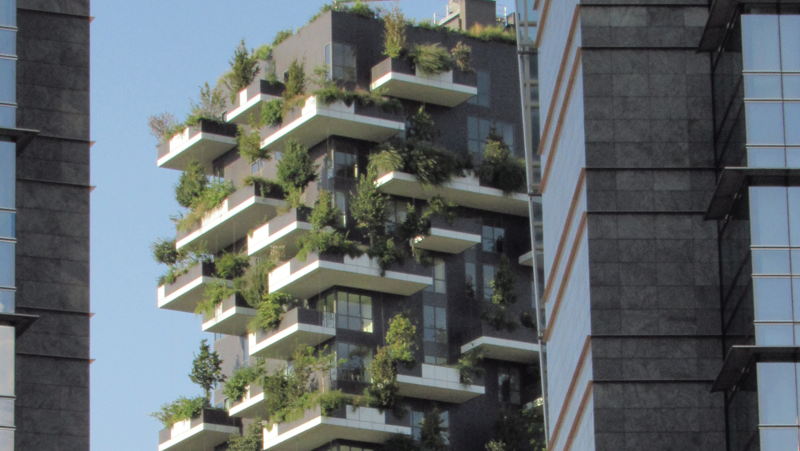 Forum Ambiente, gli eventi a Milano per renderla “capitale del verde”
